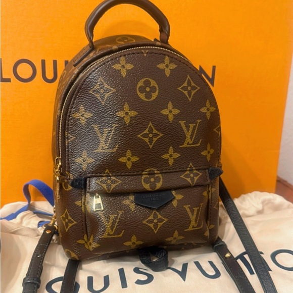 Louis Vuitton Handbags - 💯% Authentic Louis Vuitton Palm Springs Mini Backpack✨